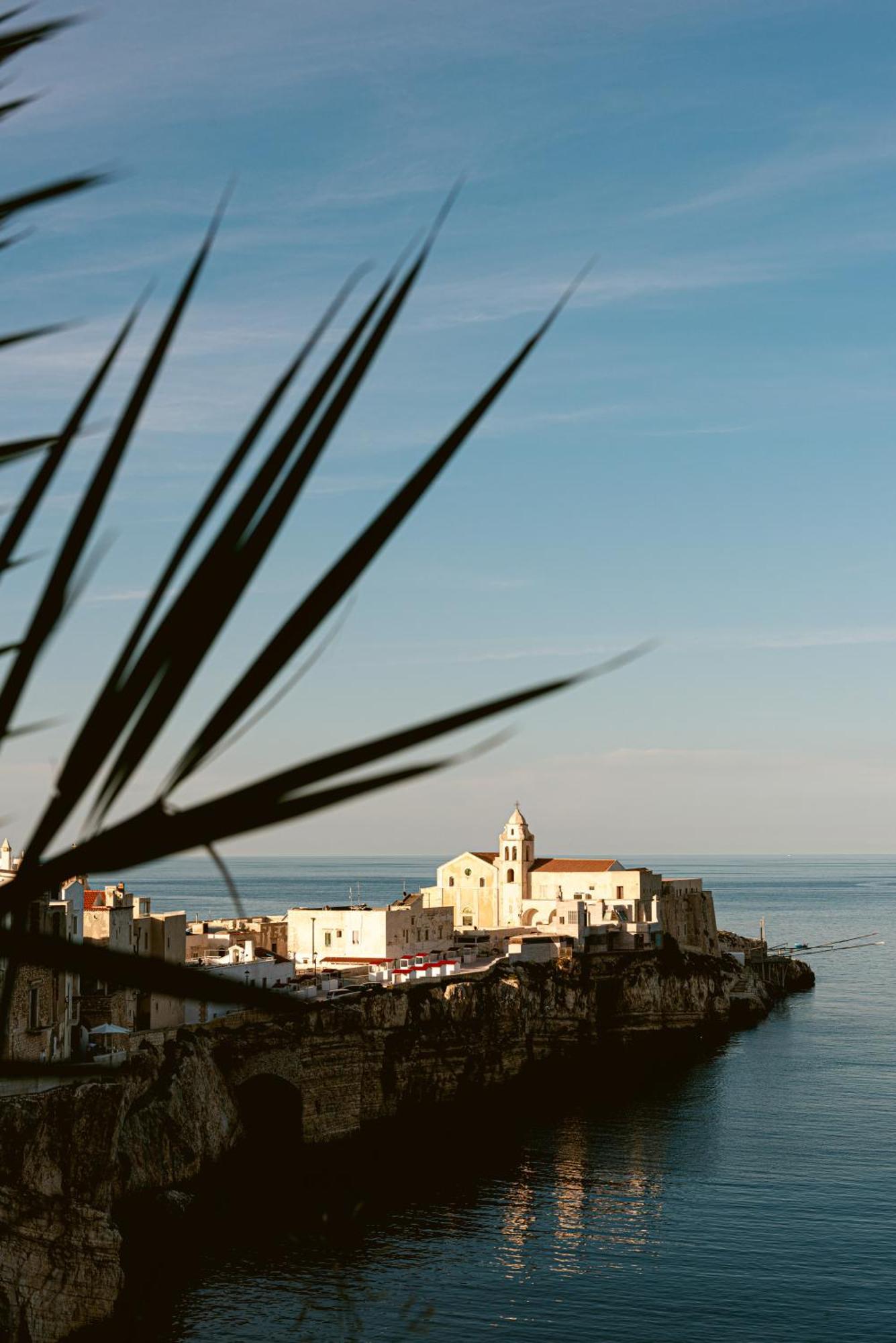Hotel Degli Aranci Vieste Extérieur photo